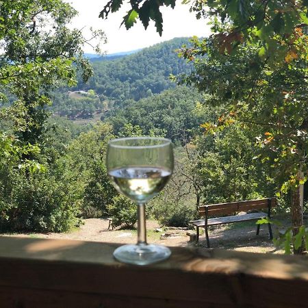 Safaritent Glamping Orlando In Chianti Кавриля Екстериор снимка